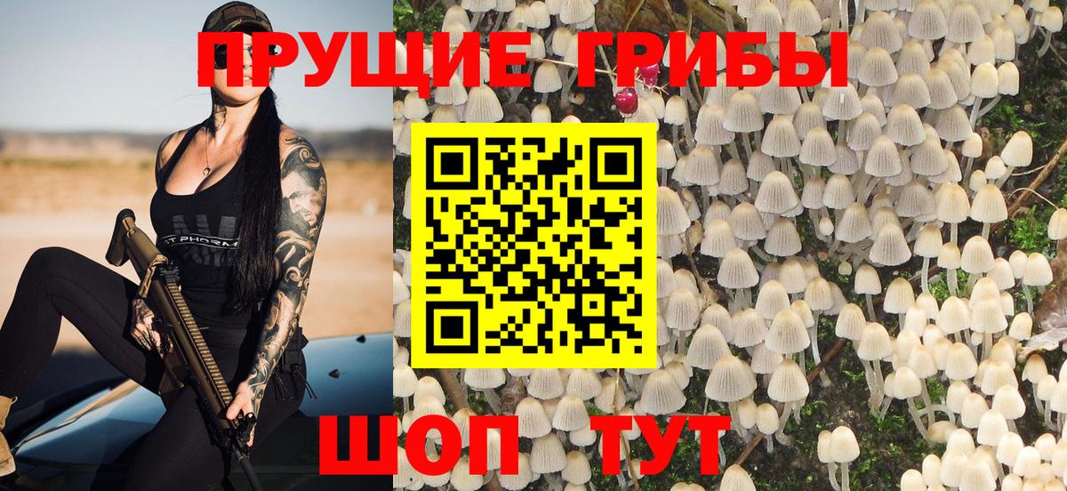 Галлюциногенные грибы GOLDEN TEACHER Котельники