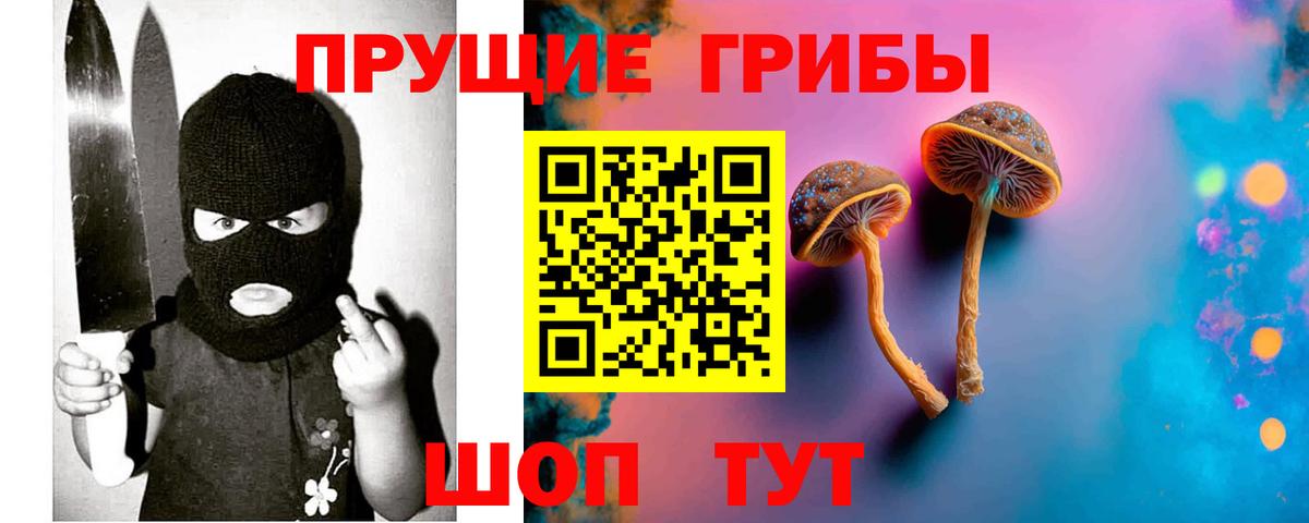Котельники  Галлюциногенные грибы Cubensis  Вход с VPN  Псилоцибиновые грибы ЛСД 